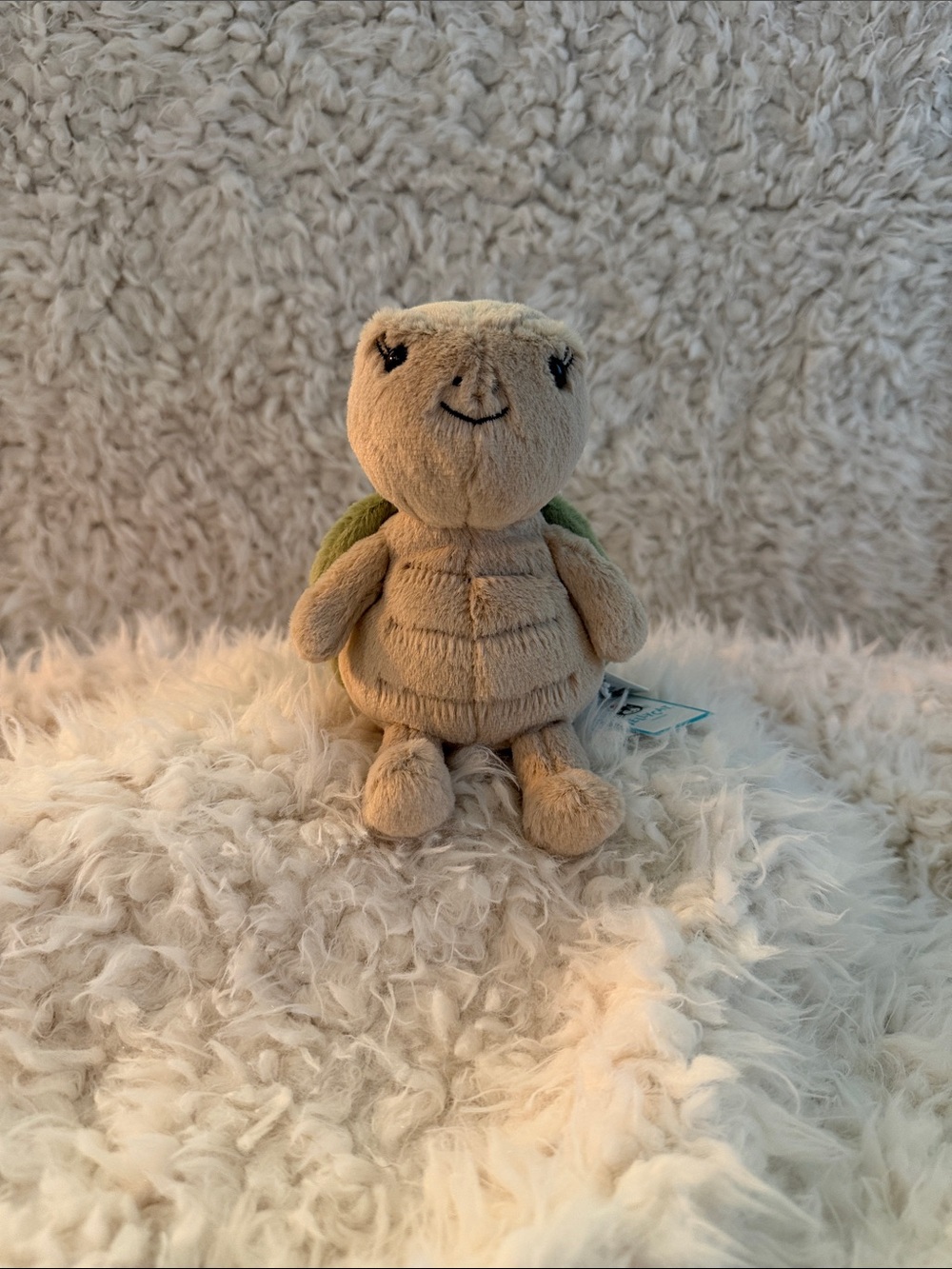 Thimble Turtle- Jellycat